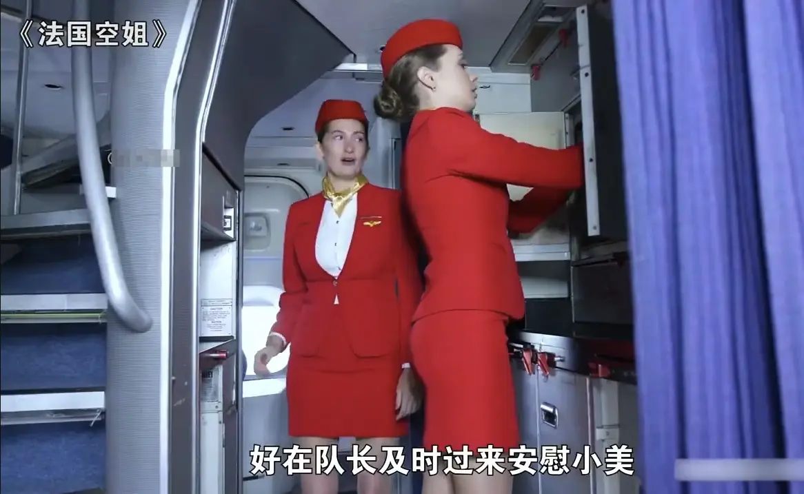 《法国空姐》完整版免费在线观看-高清720P法版满天星电影全集资源-她曾以为自己是飞鸟却发现天空也有边界