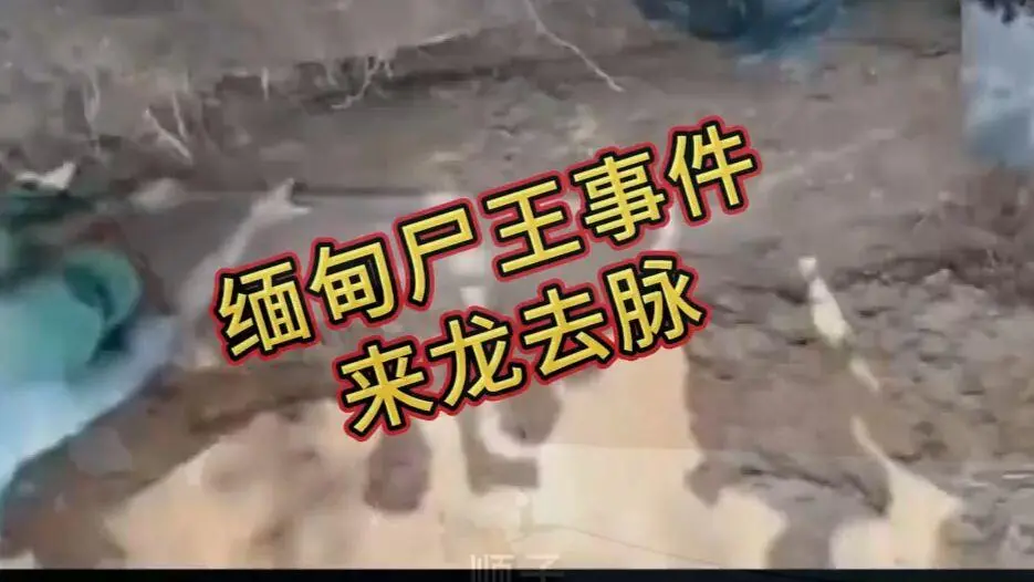 《缅甸僵尸出土事件视频》诡异真相解密完整版资源在线观看免费播放 - 高清下载全程录像未删减版本